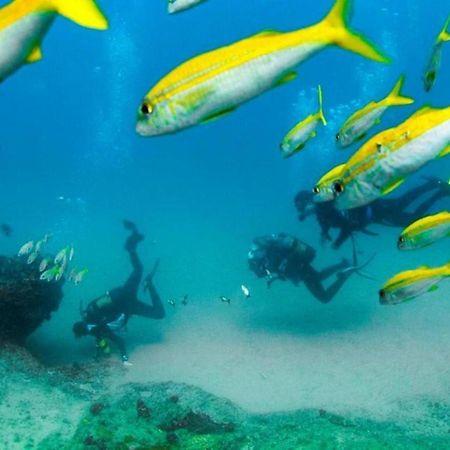 Devocean Eco Adventure Lodge Ponta do Ouro Zewnętrze zdjęcie