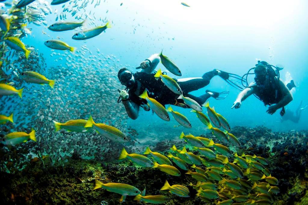 Devocean Eco Adventure Lodge Ponta do Ouro Zewnętrze zdjęcie