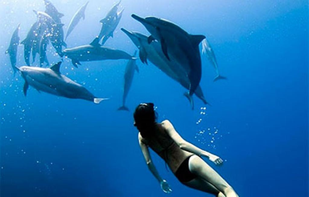 Devocean Eco Adventure Lodge Ponta do Ouro Zewnętrze zdjęcie
